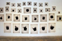 Flynn-great-lawn-installation-charcoal-on-paper-various