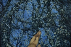 Ouporov-Eye-2004-egg-tempura-gold-leaf-on-panel-30-x-24-