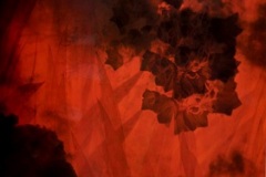 Hillman-Giverny-11-1998-glossy-cibachrome-40-x-40-in.