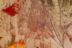 Hillman-Giverny-4-1998-glossy-cibachrome-40-x-40-in.