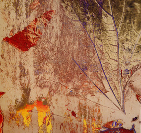 artist image