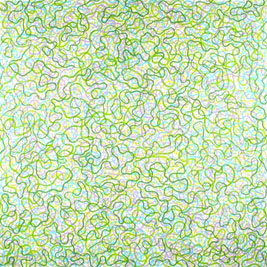 artist image